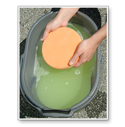 Wolfgang Polishing Pad Rejuvenator cleans your pads as good as new.